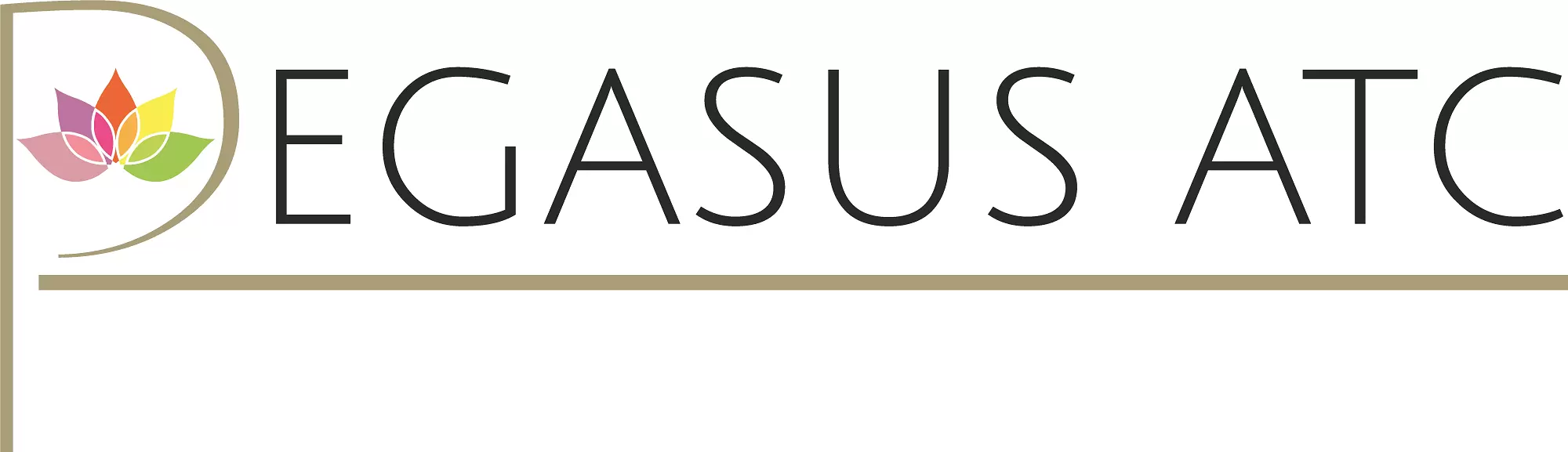 Pegasus ATC Routers Pegasus ATC Routers