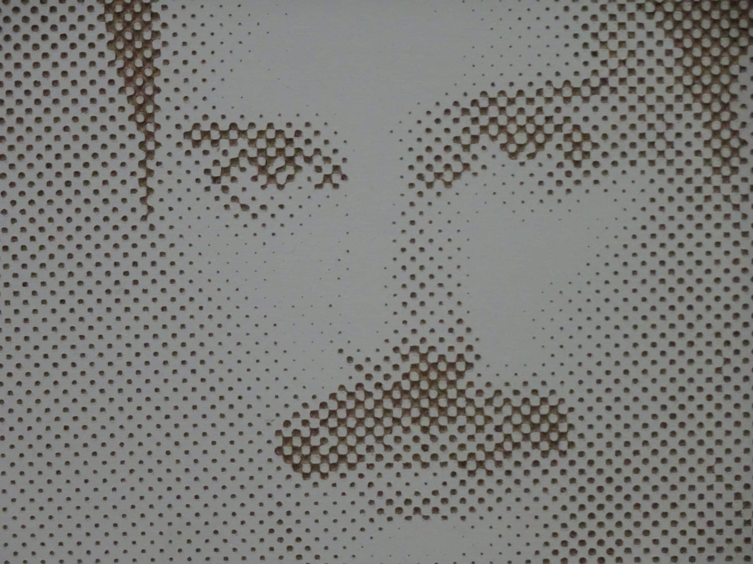 DSC00040