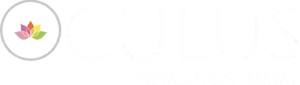 Oculus Oculus